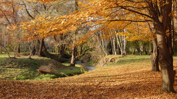 Весна в ноябре: в среду температурный максимум в столице составит +16