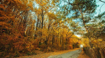 В Молдове 5 ноября ожидается до +17 градусов