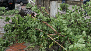 Meteorologii au emis avertizare cod galben de intensificări ale vântului