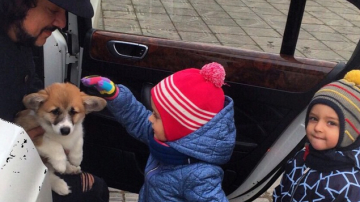 Филипп Киркоров подарил детям собаку