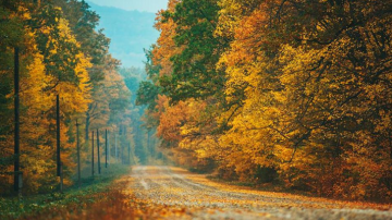 Метеорологи зарегистрировали в Молдове крайне редкое в ноябре явление