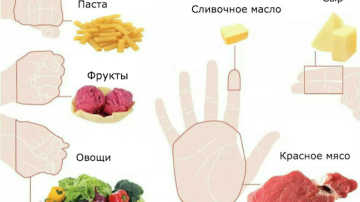 Объясняем на пальцах: Сколько еды нужно съедать каждый день