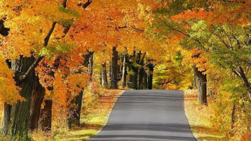 Метеорологи: температуры ноября превышают норму на 10 градусов