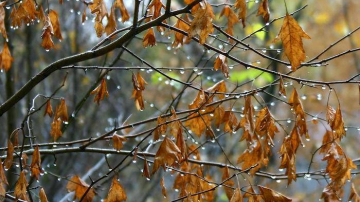 Новая неделя начнется в Молдове с понижения температур