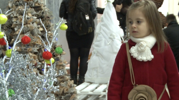 La Chișinău a fost inaugurată Expoziția Brazilor de Crăciun
