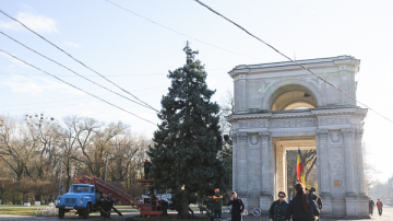Pomul de Crăciun va fi lângă Arcul de Triumf