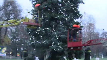 К новогодней елке в Кишиневе прикрепили ветви другого цвета