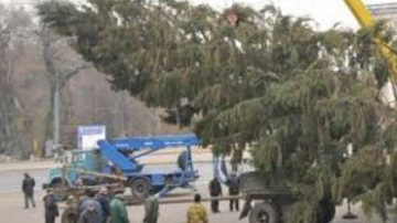 Самая высокая в Молдове рождественская ёлка зажгла свои огни в Сороках