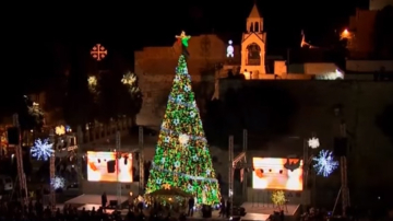 В Вифлееме зажгли огни на рождественской ёлке