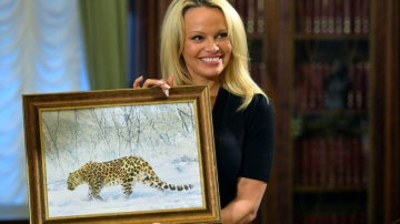 Памела Андерсон стала хранителем дальневосточного леопарда