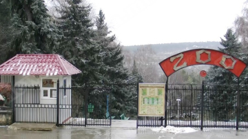 Кишиневский зоопарк подготовился к зиме