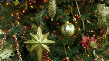 Жителям Вулканешт предлагают самим наряжать городскую новогоднюю ель