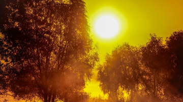 2016 рискует стать третьим подряд рекордно жарким годом – синоптики