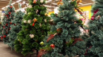Unde pot fi cumpăraţi brazi artificiali în Chişinău? O trecere în revistă a magazinelor