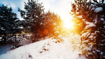 В Молдове 19 января будет до - 8 градусов