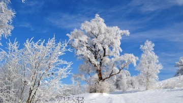 Синоптики рассказали о погоде на ближайшие дни