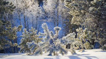Синоптики предупреждают о грядущем похолодании