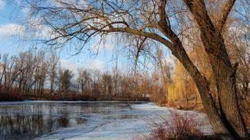 В ближайшие дни температура воздуха в столице прогреется до +14