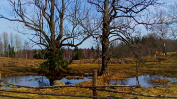 Весна в феврале: слякоть, шашлыки и предупреждения врачей