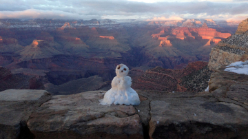 Январь 2016 года стал самым теплым за последние 135 лет