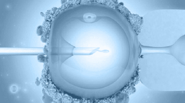 Экстракорпоральное оплодотворение – роскошь для Молдовы