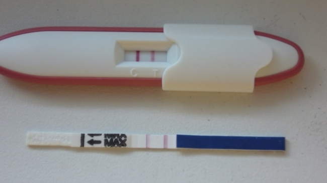 Human Leia Refurbishment Liniuța ștearsă de pe testul de sarcină indică un rezultat pozitiv sau nu?  | Mamaplus