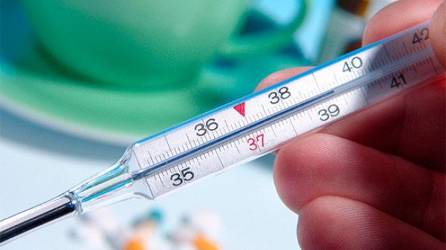 В Молдове грипп унес 17 жизней