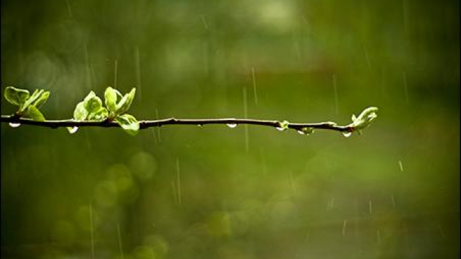 9 марта в Молдове возможны дожди