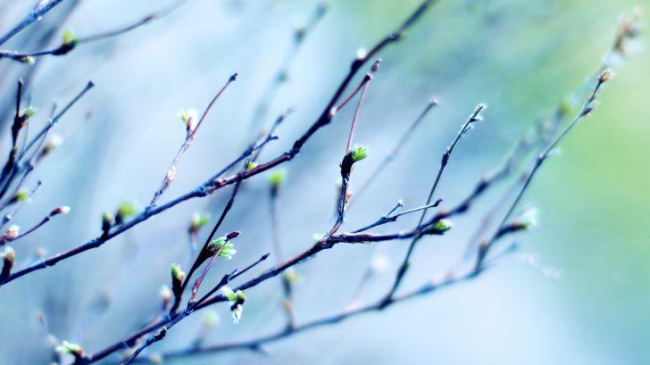 Синоптики рассказали, когда ждать потепления