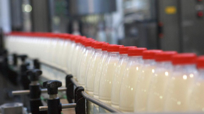 Цены на молочные продукты, произведенные в Молдове, могут снизиться