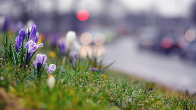 Дожди и грозы ожидаются 30 марта в Молдове