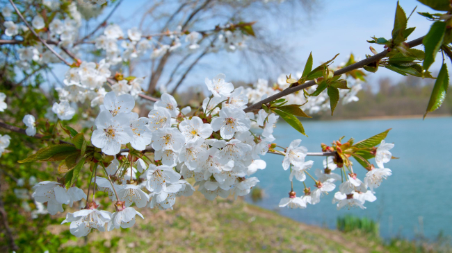 5 болезней, которых надо опасаться в апреле