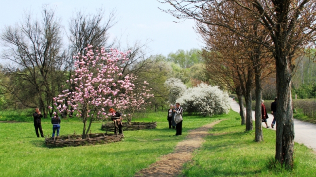 До 25 градусов прогреется воздух в Молдове 5 апреля