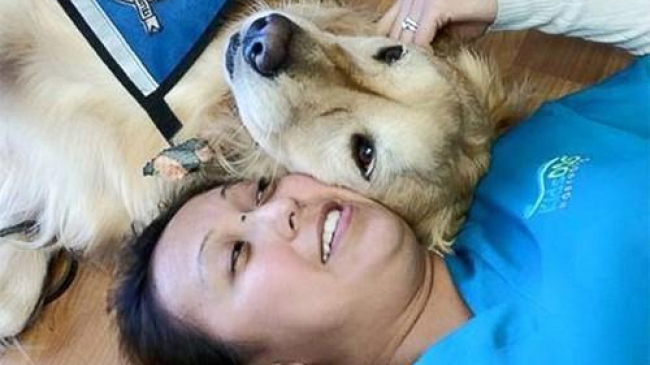 В Америке детскому стоматологу ассистирует собака