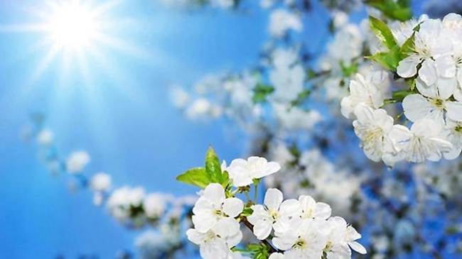 Синоптики рассказали о погоде на ближайшие дни