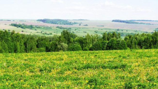 Синоптики прогнозируют легкое похолодание