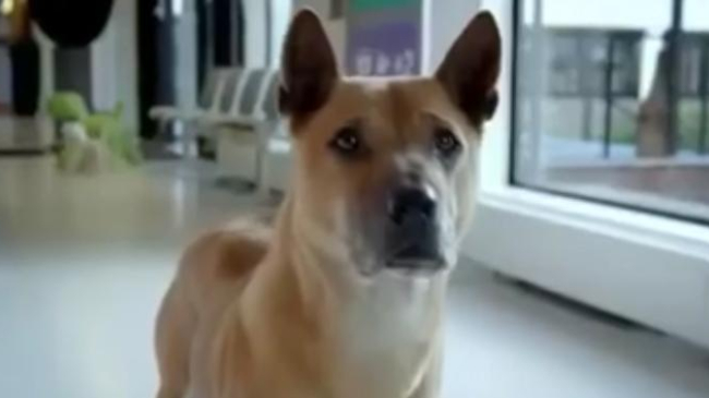 Беззаботная жизнь? Это в прошлом!