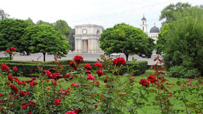 Chişinăul prinde culoare! Zeci de mii de flori au fost sădite în mai multe zone ale Capitalei