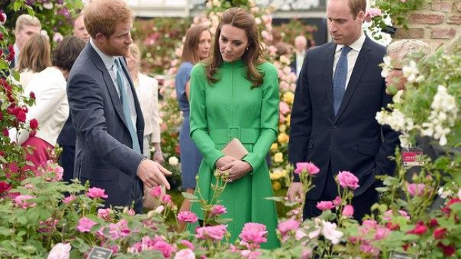 Герцогиня Кэтрин перевоспитала супруга