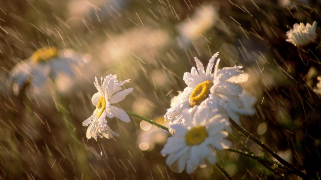 Meteorologii prognozează vreme caldă, dar instabilă