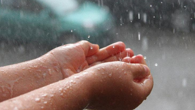 Vara vine cu temperaturi ridicate și ploi