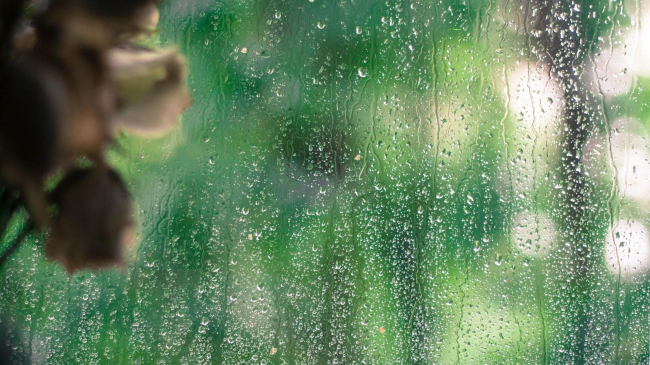 Săptămîna începe cu ploi