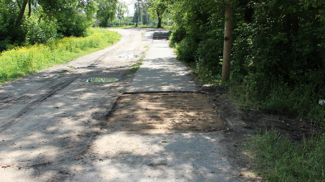 Молодые мамы вышли на протест против разбитых тротуаров в столице