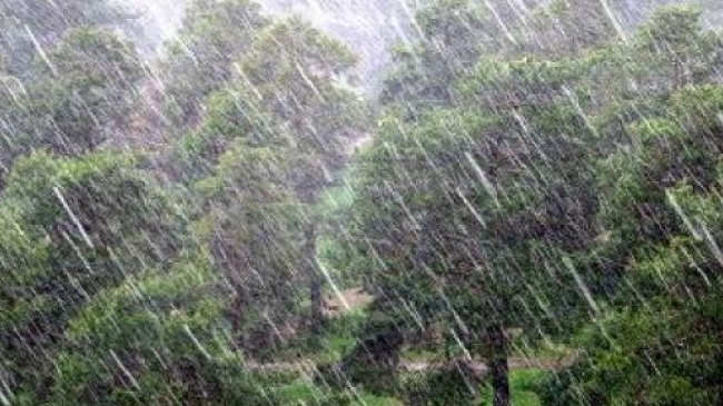 Синоптики прогнозируют в Молдове сильные дожди