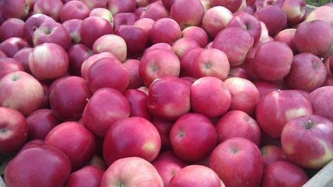 ПРООН в Молдове удваивает каждый лей, вложенный в питание детей фруктами