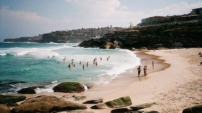 Ученые развенчали миф о вреде мочи, попавшей в море