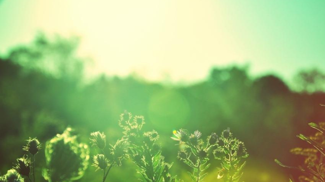 В ближайшие дни в Молдове сохранится комфортная погода