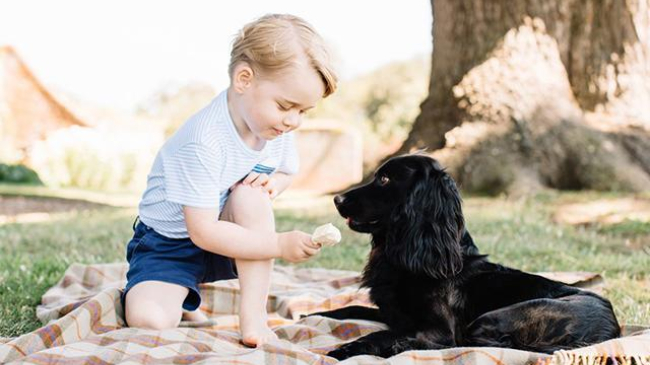 С днем рождения, принц Джордж: четыре новых официальных портрета