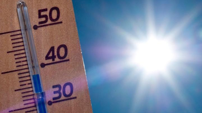 Неделя начнется с высокой температуры воздуха