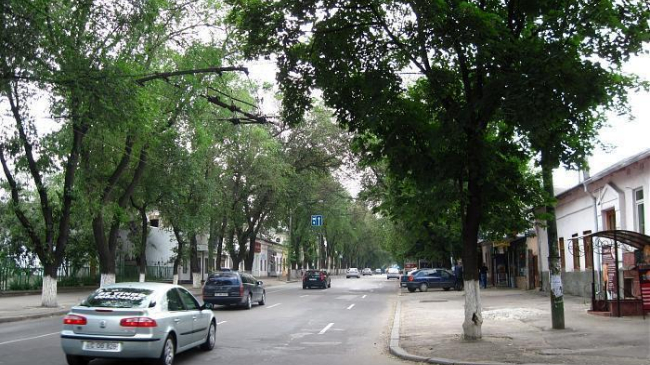 В течение четырех дней движение по улице Александри будет перекрыто